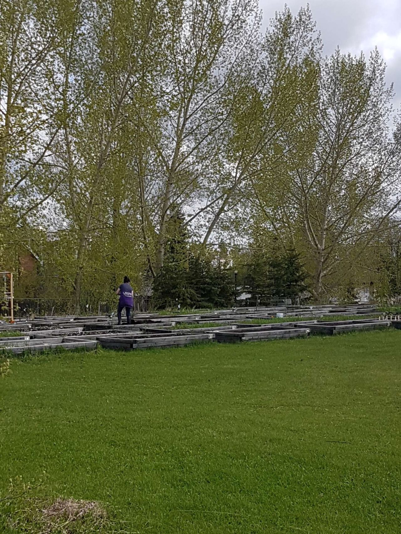 Community Garden | Red Brick Common